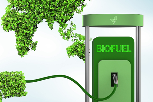 Biodiesel-Broschüre